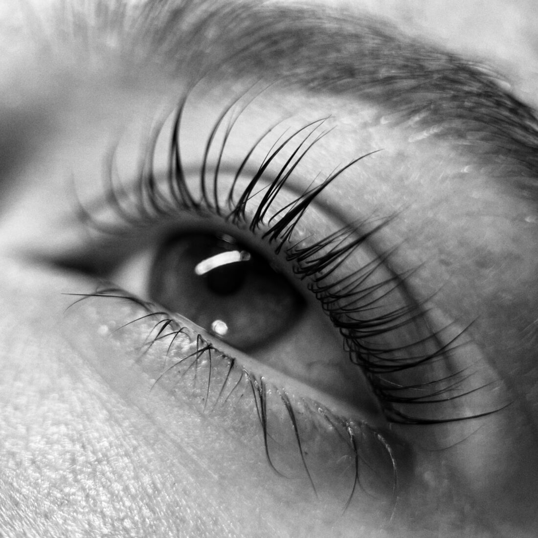 Acompte pour la formation LASHLIFT