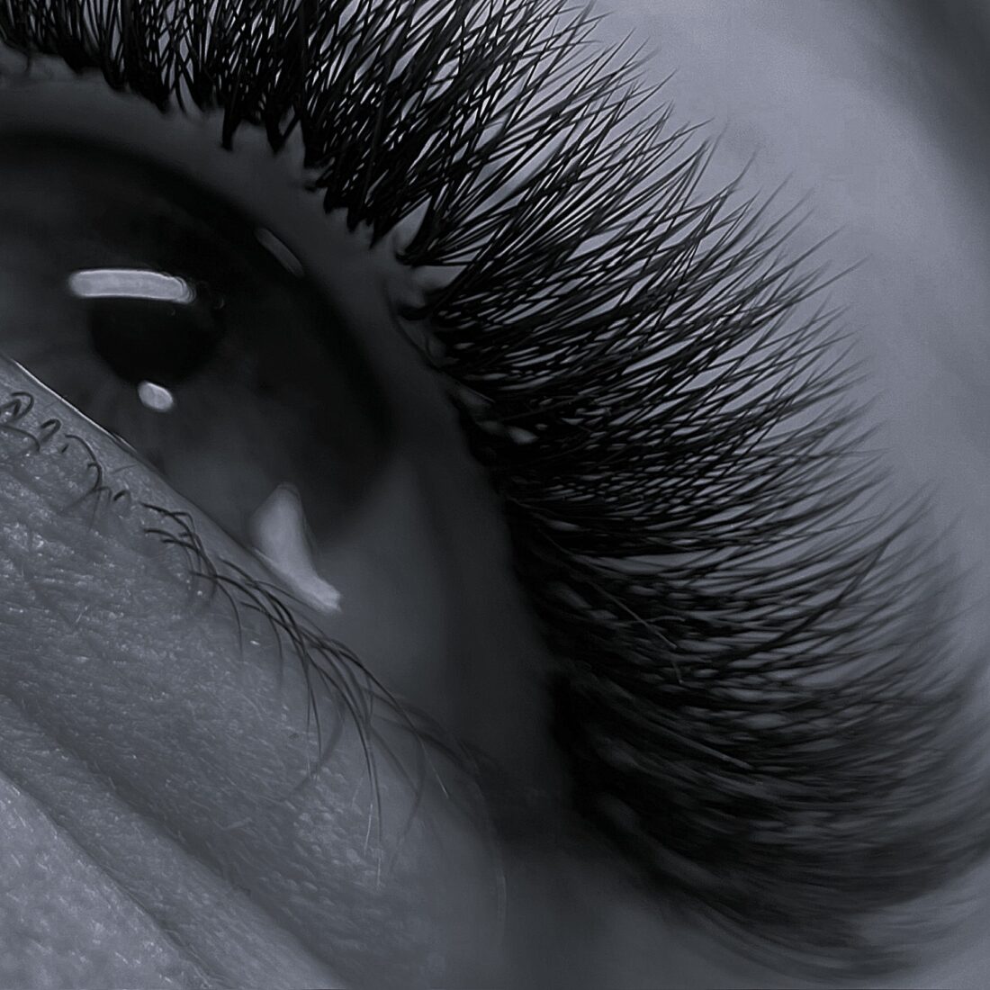 Acompte pour la formation PREMIER PAS EN VOLUME RUSSE