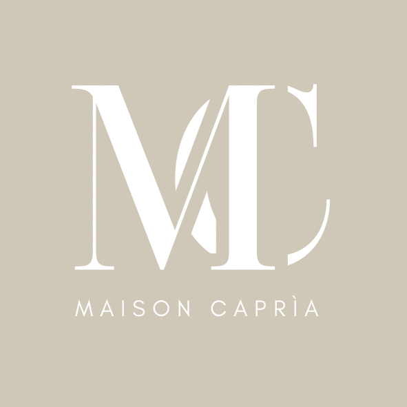 PINCE PRECISION N°2